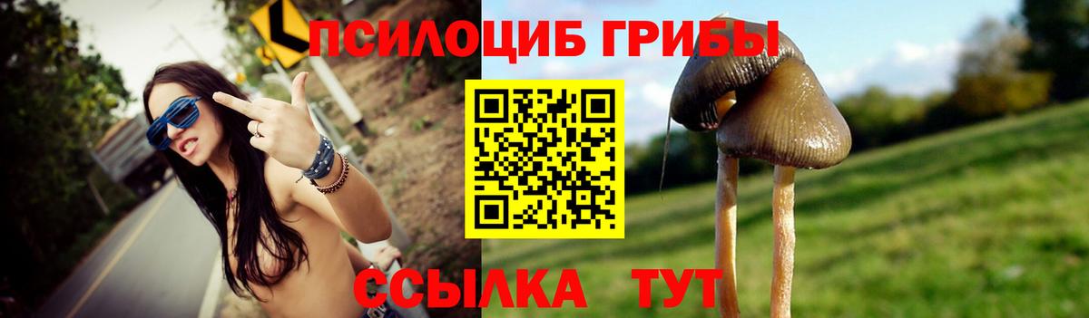 Псилоцибиновые грибы Psilocybe  Вход с VPN  Аргун 